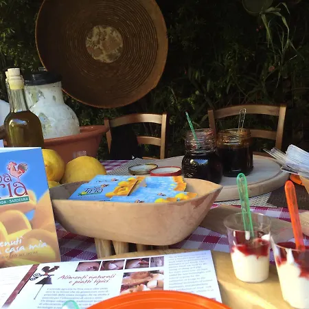 Alojamento de Turismo Rural Sa Tiria *